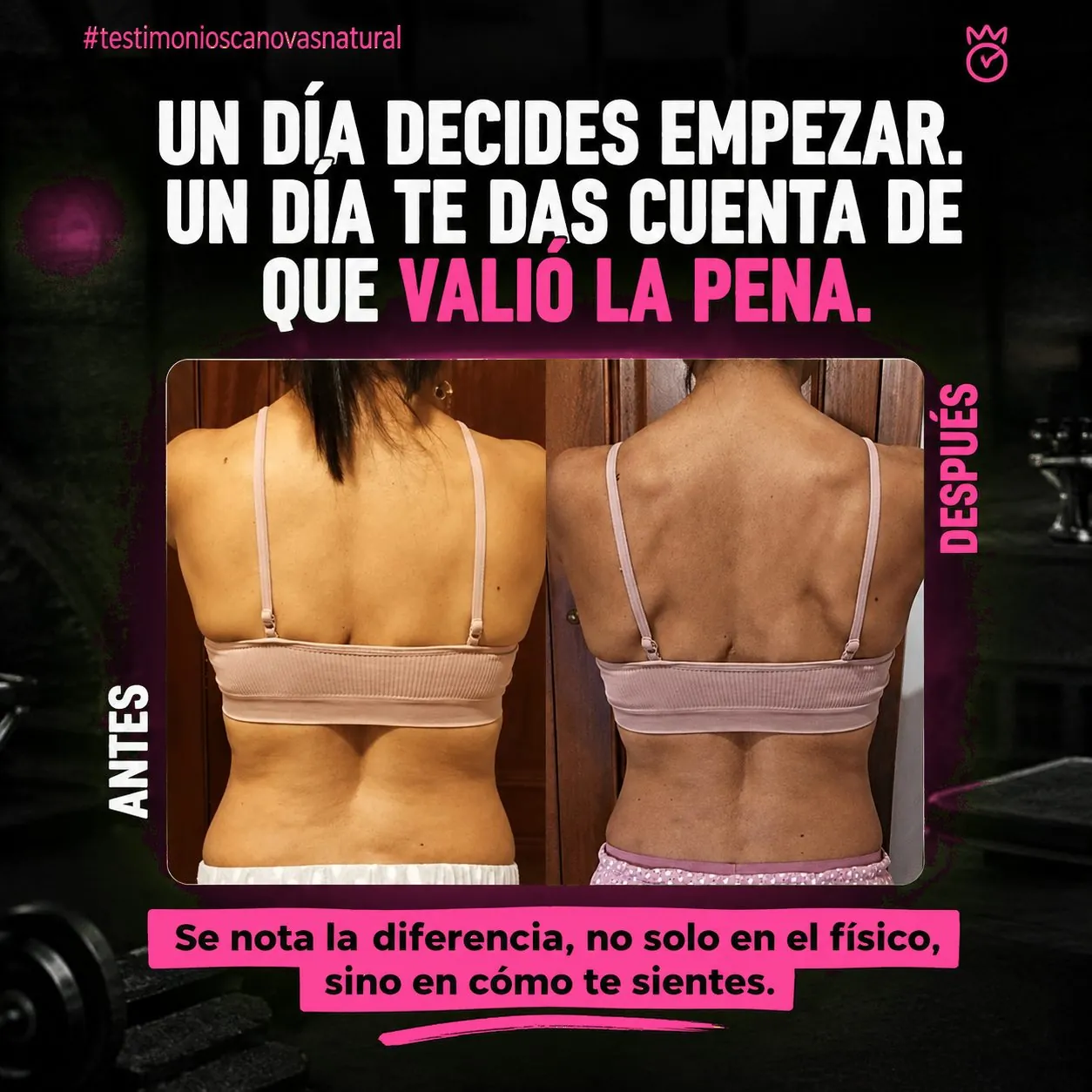 Transformación de Vero